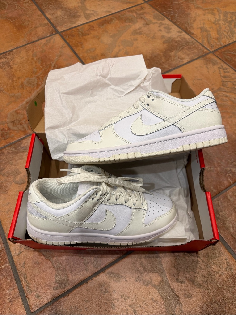nike low dunks